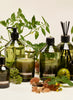 FEUILLE DE TOMATE Candle - CHRISTIAN TORTU - lifestyle