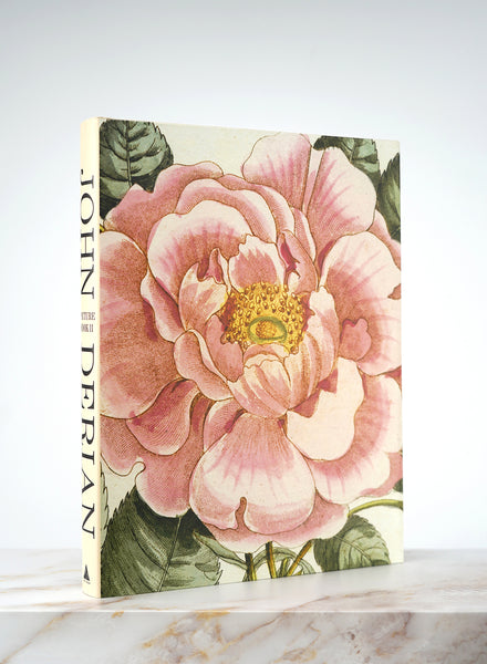 JOHN DERIAN - PICTURE BOOK II - 1