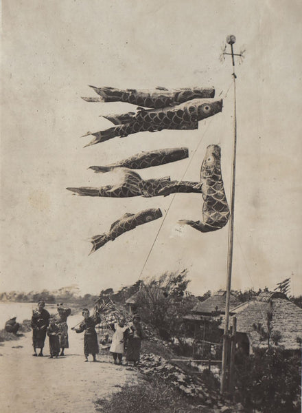 KOINOBORI - Medium - Black - History