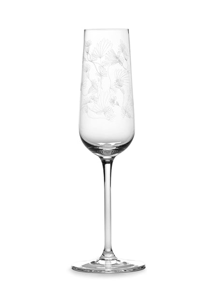 SET OF FOUR Camelia Aubergine CHAMPAGNE FLUTES - MARNI - Midnight Flowers collection