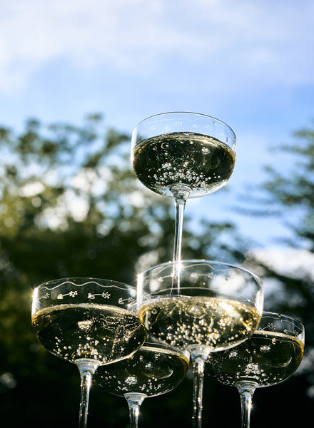 SET OF FOUR MARNI CHAMPAGNE COUPES - Midnight Flowers collection - 7
