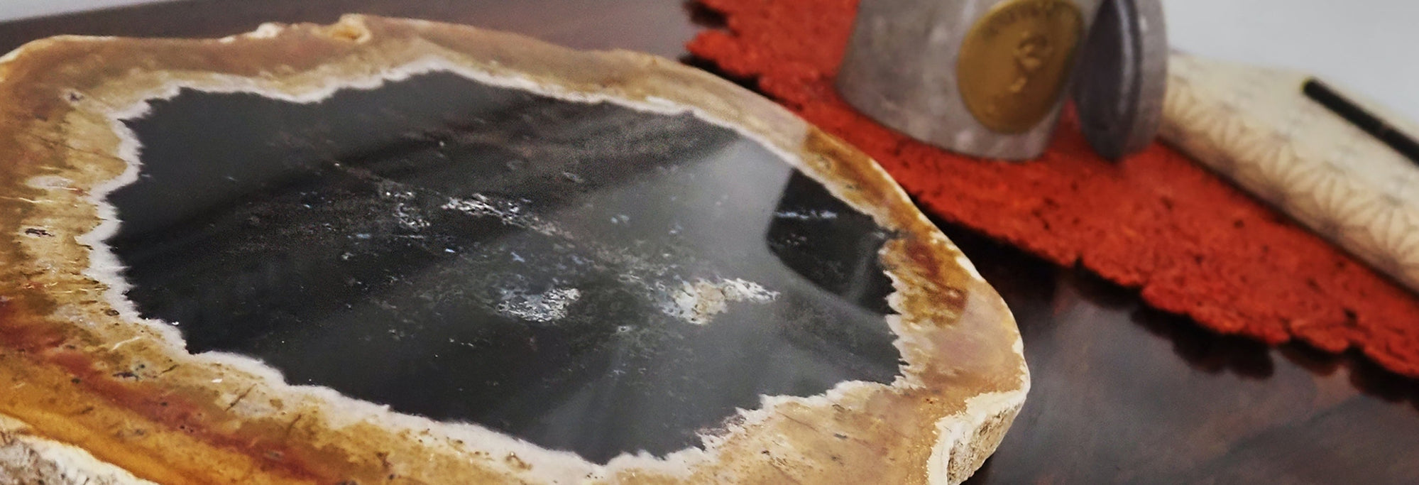 PETRIFIED PLATES