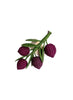 CORO CORA - Olive Branch Napkin Rings - Front 