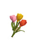 CORO CORA - Tulips Napkin Rings - Front 