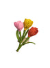 CORO CORA - Tulips Napkin Rings - Front