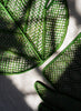 Coro Cora - Leaf Placemat - Lifestyle 1