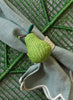 Coro Cora - Pear Napkin Ring - Lifestyle