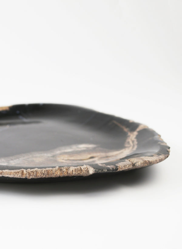 Medium Petrified Wood Plate - close up 1
