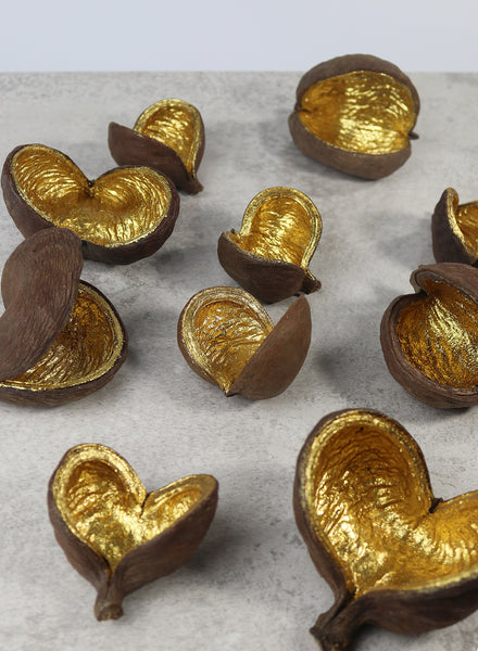 DECORATIVE GOLD NUTSHELLS - 1