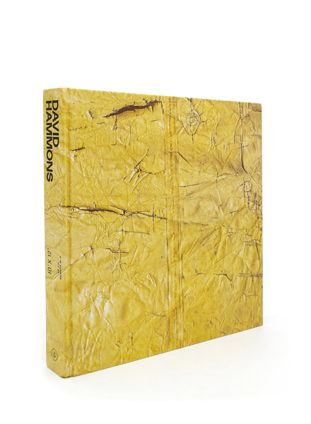 David Hammons - Linda Goode Bryant - Front