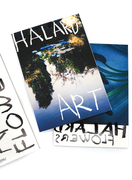 Francois Halard - Art & Flowers - Detail 3