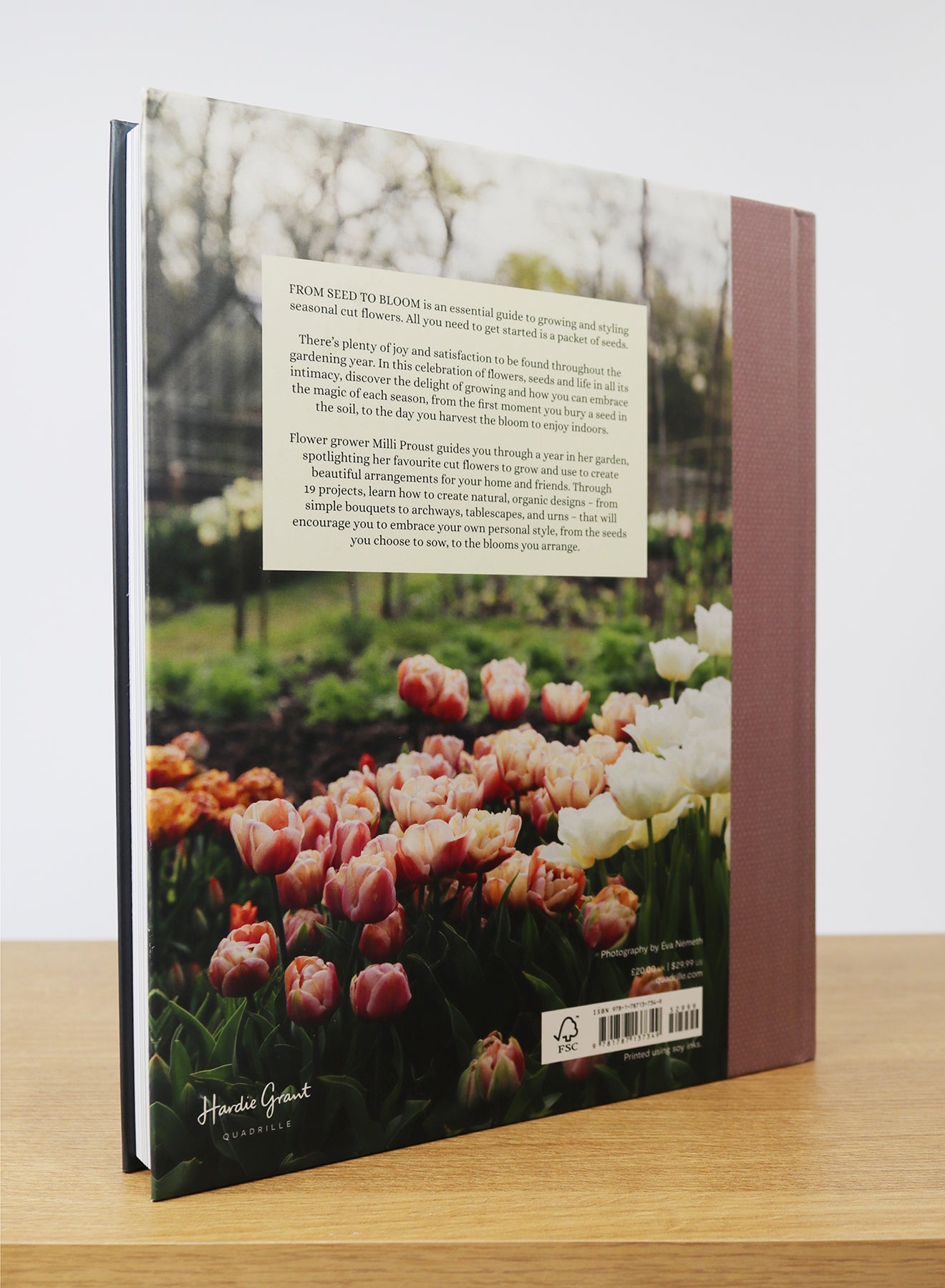 from seed to flower book From Seed to Bloom