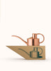 HAWS - The Fazeley Flow Can, Copper - Front and Box