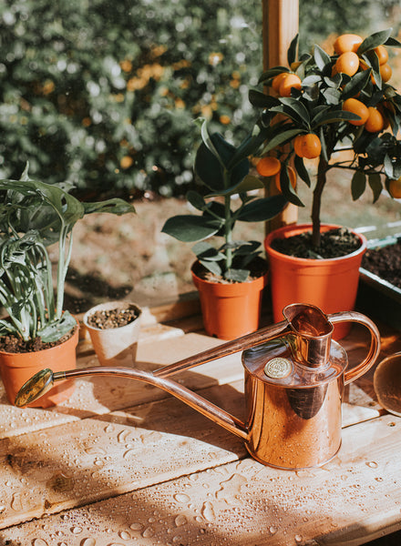 HAWS - The Rowley Ripple Can, Copper - Lifestyle 2