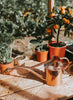 HAWS - The Rowley Ripple Can, Copper - Lifestyle 2