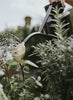 HAWS - The Rowley Ripple Can, Graphite and Brass - Lifestyle 3