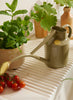 HAWS - The Rowley Ripple Can, Lichen Green - Lifestyle