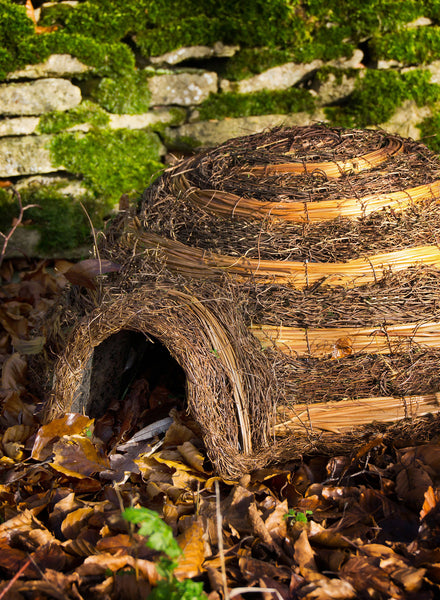 Hedgehog Igloo - 2