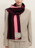 THE SCHOOL SCARF - JANECARR