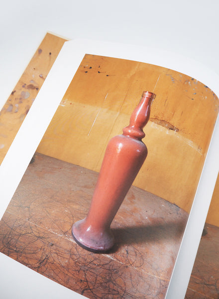 JOEL MEYEROWITZ MORANDIS OBJECTS - Page Spread 1