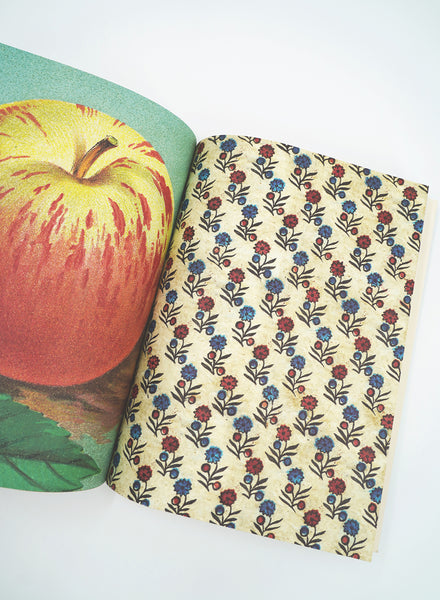 JOHN DERIAN - WRAPPING PAPPER & GIFT TAGS - Inside 1