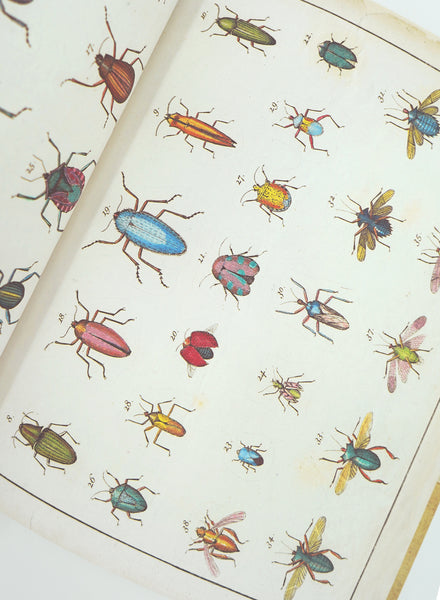 JOHN DERIAN - STICKER BOOK - Inside 1