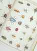 JOHN DERIAN - STICKER BOOK - Inside 1