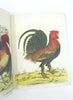 JOHN DERIAN - STICKER BOOK - Inside 2