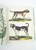 JOHN DERIAN - STICKER BOOK - Inside 5