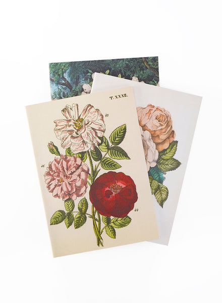 John Derian - EVERYTHING ROSES -Notebooks - 2