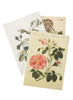 John Derian - EVERYTHING ROSES -Notebooks - 3