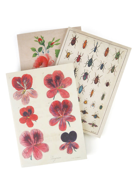 John Derian - IN THE GARDEN -Notebooks - 2