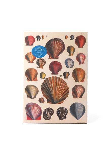 John Derian SHELLS Puzzle - 1