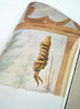 LOUISE BOURGEOIS - UNCONSCIOUS MEMORIES - INSIDE - 3