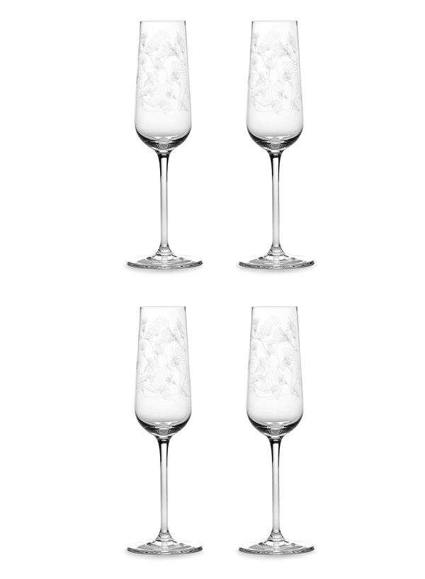 MARNI - SET OF FOUR CAMELIA AUBERGINE CHAMPAGNE FLUTES - 1