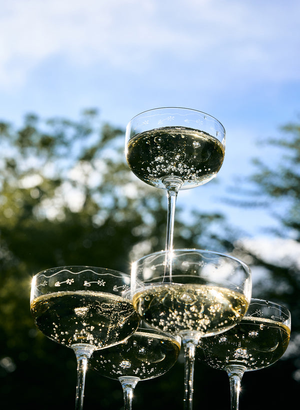 SET OF FOUR MARNI CHAMPAGNE COUPES - Midnight Flowers collection - 7