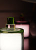 PAOLA PETROBELLI - HAND BLOWN GLASS LAMP IN GREEN AND CLEAR - Lifestyle 7