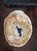 Petrified Palm Plate - 2 - 3