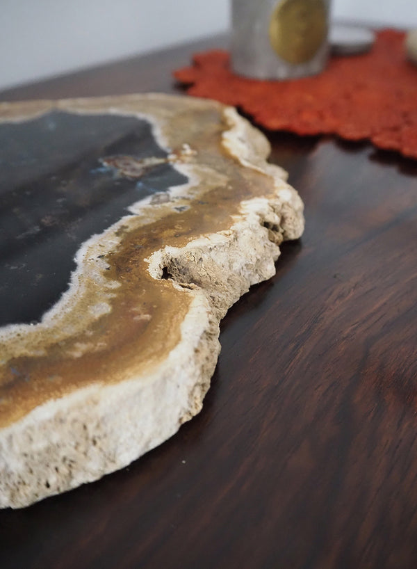 Petrified Palm Plate - Plate 3 - 2 