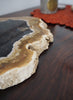 Petrified Palm Plate - Plate 3 - 2 