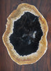 Petrified Palm Plate - 3 - 3