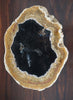 Petrified Palm Plate - 3 - 4