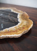 Petrified Palm Plate - 3 - 5