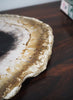 Petrified Palm Plate - 4 - 4