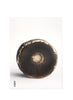 THE GOURMAND’S MUSHROOM - Cover - Back