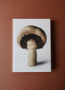 THE GOURMAND’S MUSHROOM - Front