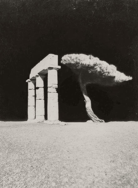 TO MY SHIPS Stand Up Bravely Marjoram Hand & Body Wash Refill, 750ml - Atmosphere