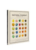 The Natural Pigment Handbook - Cover - Front