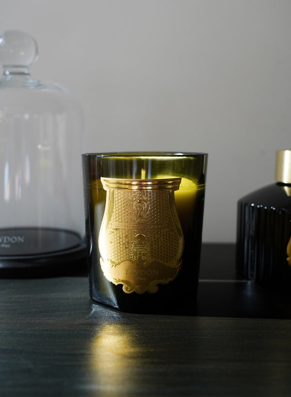 Trudon - The Classic Candle - Ernesto 270g - Lifestyle 