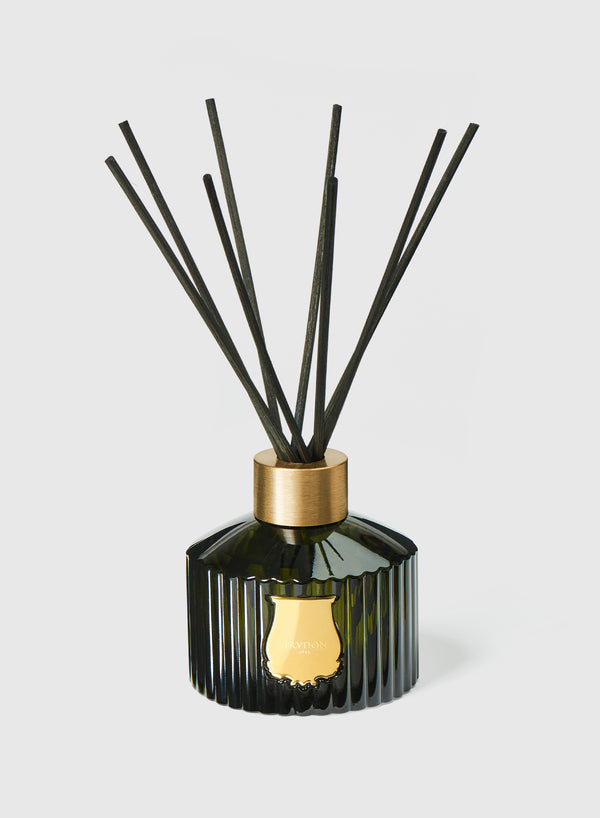 Trudon - The Diffuser - Ernesto 350ml - Bottle